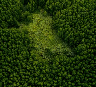 como-se-defender-da-execucao-fiscal-para-a-cobranca-de-multa-ambiental